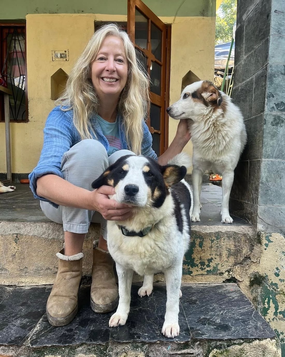Dharamsala Animal Rescue
