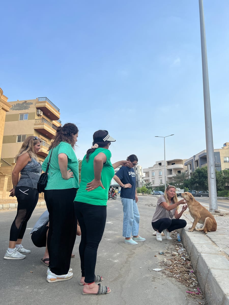 TNR Sherouk, Egypt